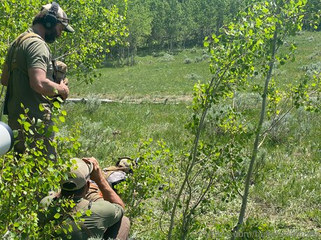 Bulletvalentina mejor modelo imágenes