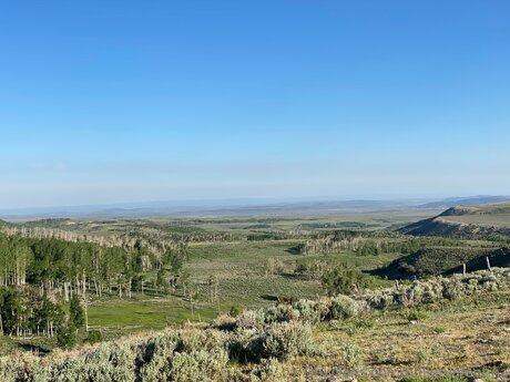 Bulletvalentina estrella de alta calidad foto