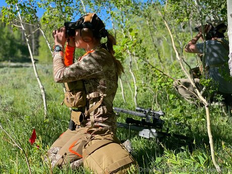 Bulletvalentina estrella imágenes