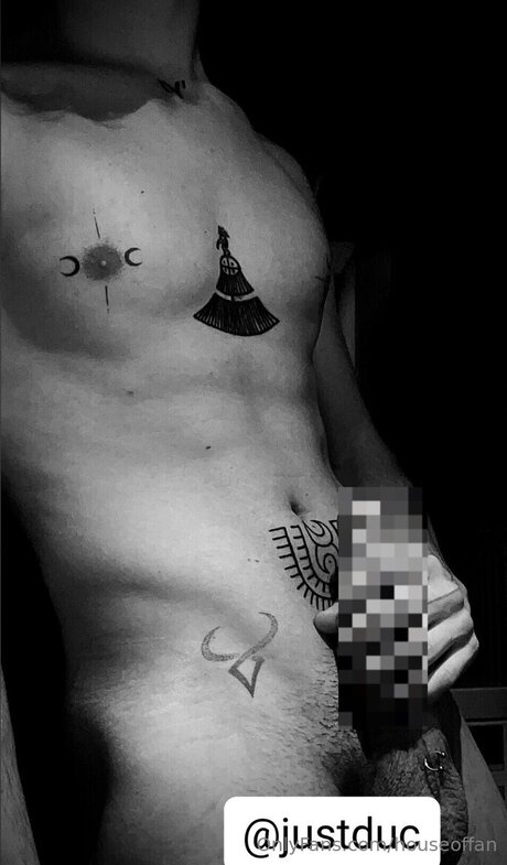 Houseoffan modelo gratis galerías