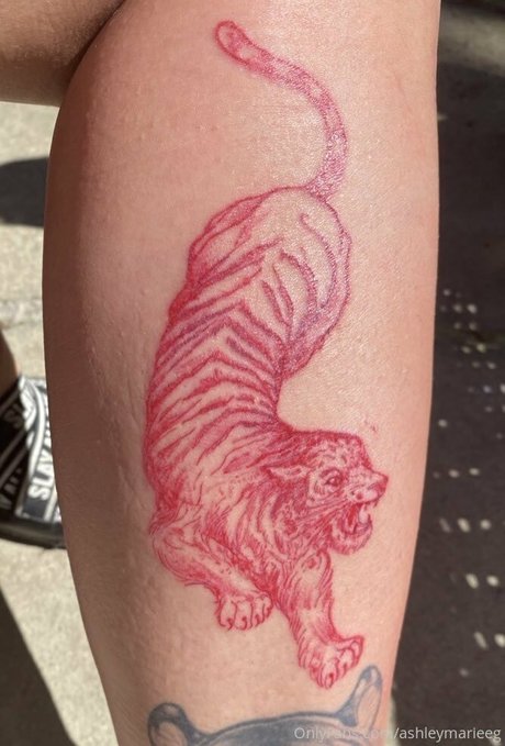 Ashleymarieeg star du porno en haute qualité images