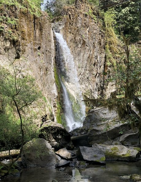 UnicornButtStuff actrice parfaite img