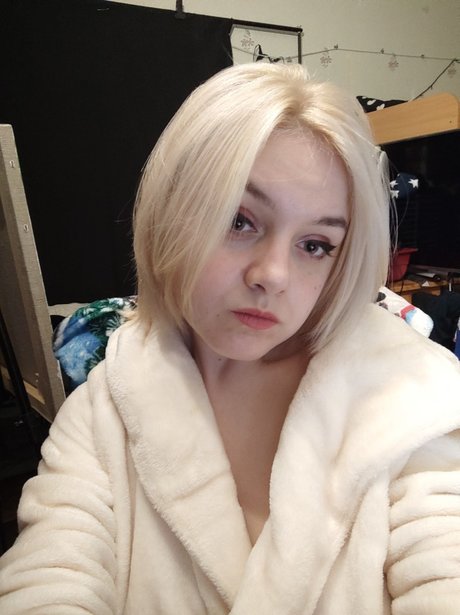 Velvet night estrella superior galerías