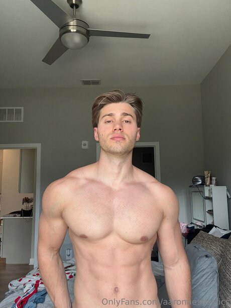 Aaronaesthetics mannequin image