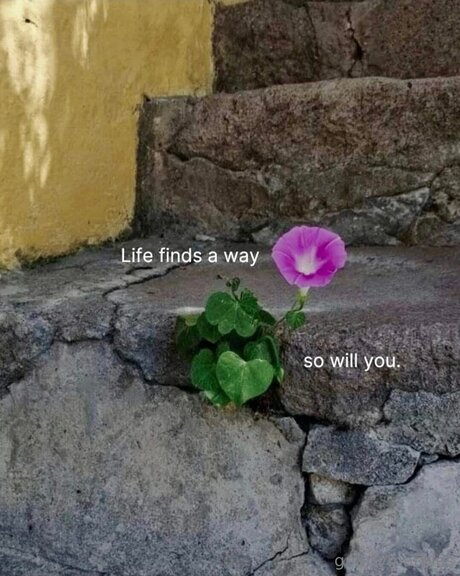 beaux pieds onlyfans top jolie collection