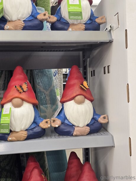 Gnarlymarbles étoile exclusive photos