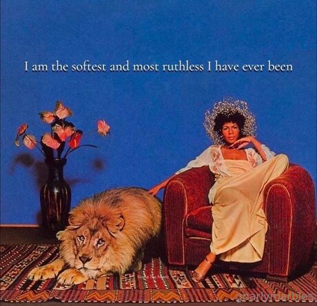 Gnarlymarbles estrella adulta recopilación