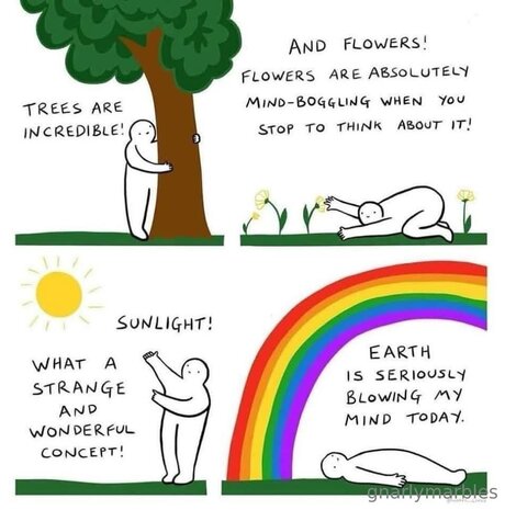 Gnarlymarbles Miniatura