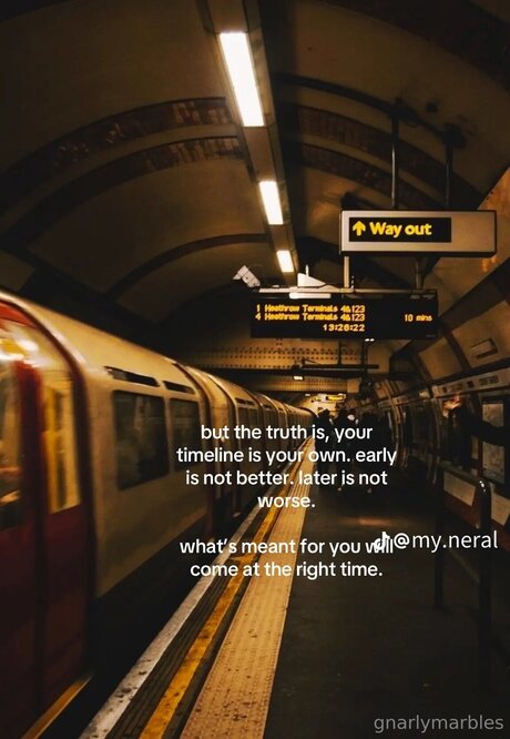 Gnarlymarbles étoile nue img