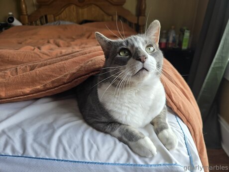 Gnarlymarbles sexo estrella porno imagen