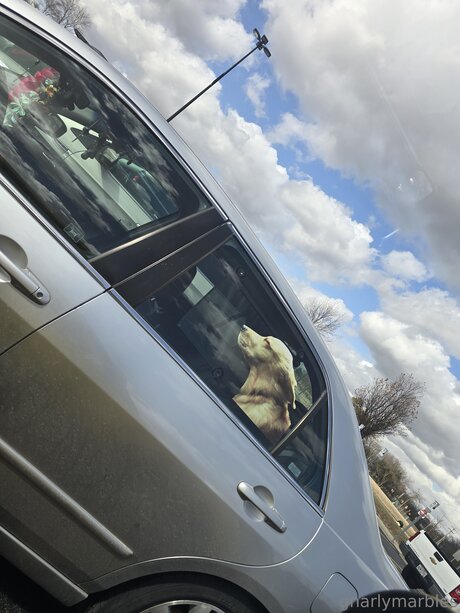 Gnarlymarbles modelo hermosa foto