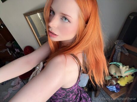 Northeie belle étoile photo