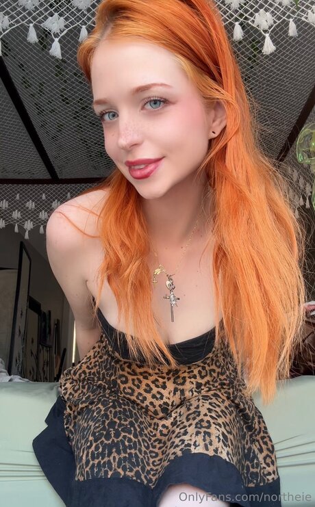 Northeie arte estelar recopilación