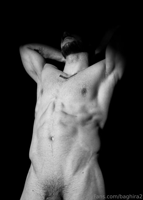 Baghira2 modèle artistique galerie