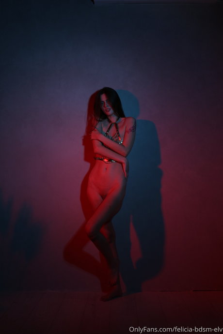 Felicia vina estrella superior galería