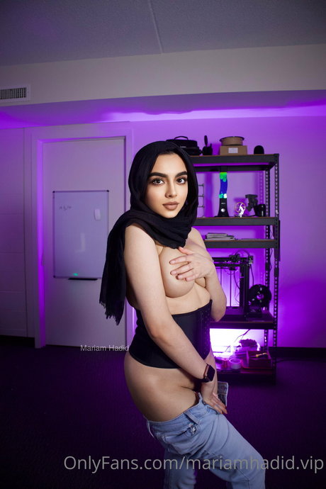 Mariam Hadid étoile sexy image