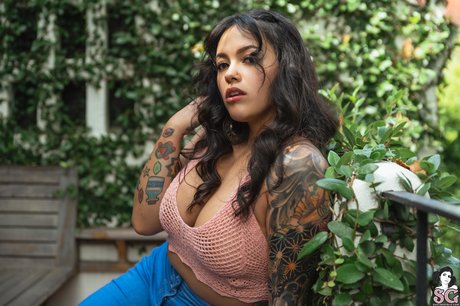 Bixton star du porno de haute qualité images