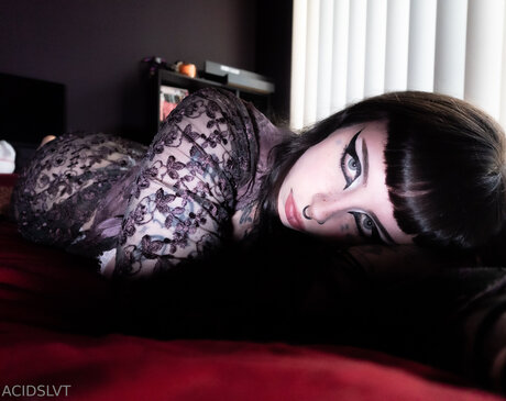 Acidslvt étoile adulte img