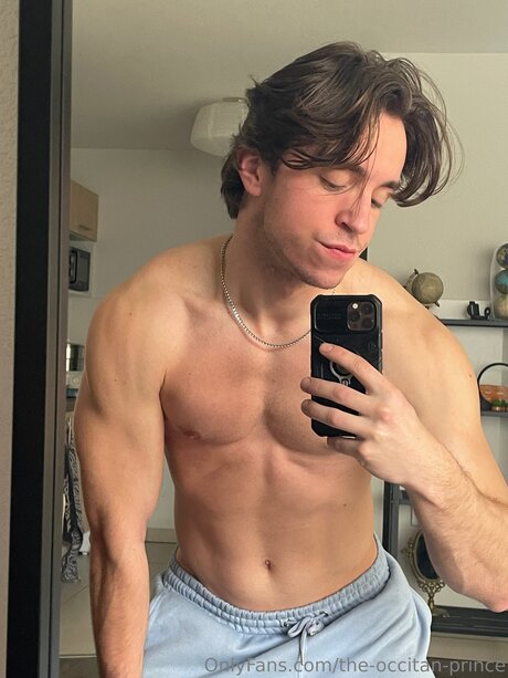 The Occitan Prince buen modelo imagen