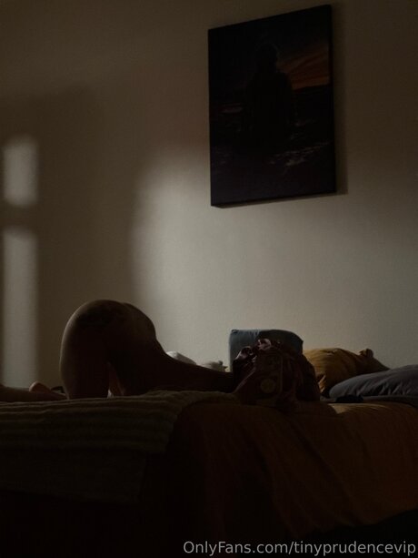 Tinyprudencevip estrella perfecta archivo