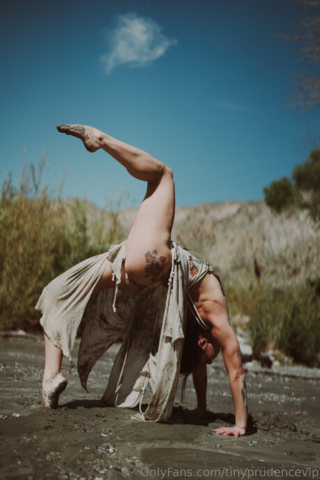 Tinyprudencevip Miniature