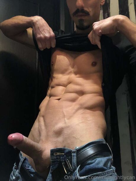 Midnightlycan meilleure étoile galeries