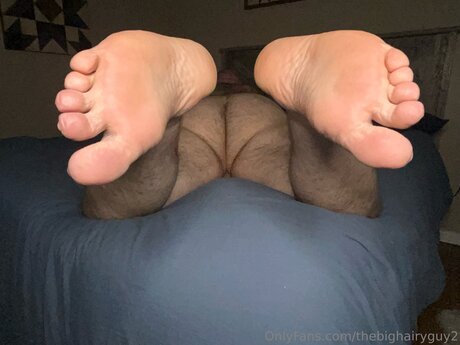 Thebighairyguy2 pornstar nudes picture