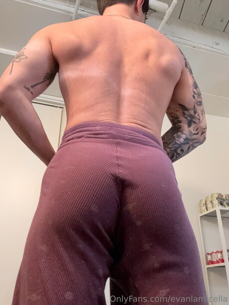 Evanlamicella star du porno chaud galeries