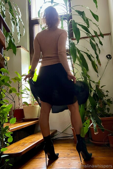 Malinawhispers art étoile galerie