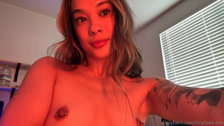 Tinytoes Exe desnudos de estrellas porno recopilación