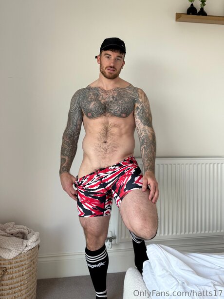 Hatts17 modelo superior galería