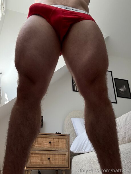 Hatts17 desnudos de estrellas porno foto