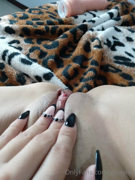 Aylenvip haut étoile img