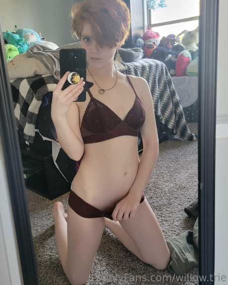 Willow Trie buen modelo archivo