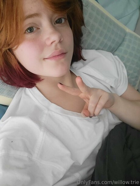 Willow Trie étoile de l'art archive