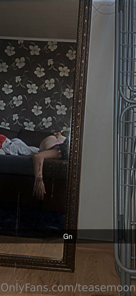 gatito pelirrojo onlyfans arriba archivo