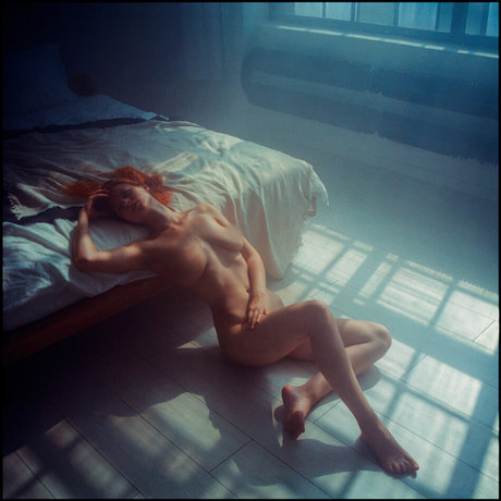 Sonia Red Fox_ estrella hermosa galería