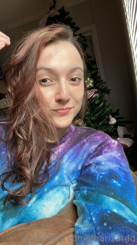 Charizard modèle chaud archive