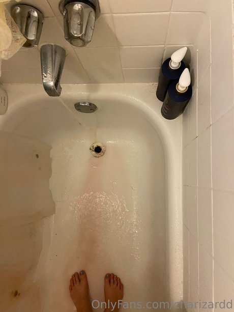 Charizard modelo adulto fotos