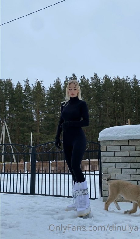 Dinulya modèle artistique collection