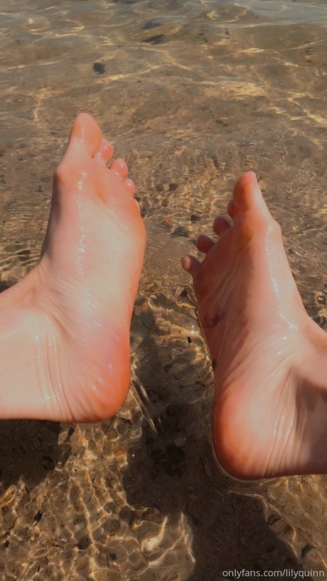 Lily Quinn nus star du porno galerie