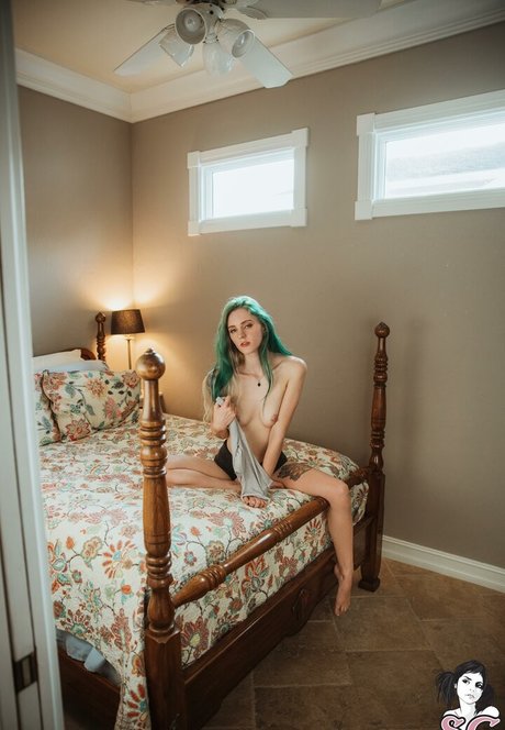 Zorii estrella xxx imagen