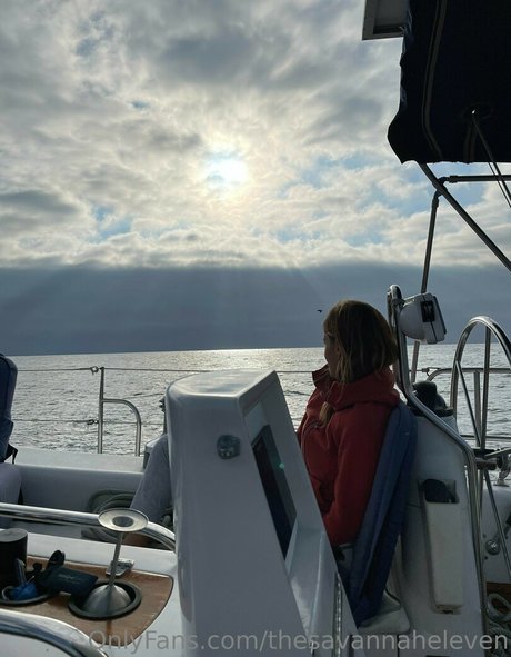 Thesavannaheleven arte modelo foto