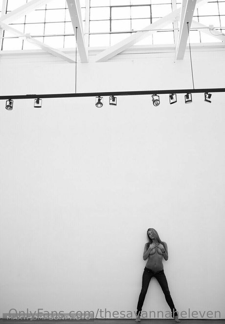 Thesavannaheleven modelo de arte foto