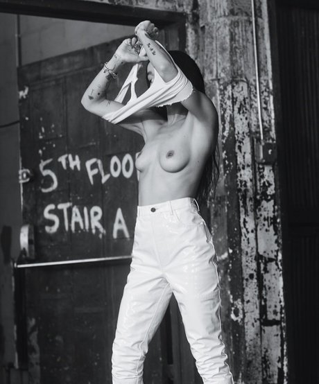 Zoe Kravitz art star du porno photo