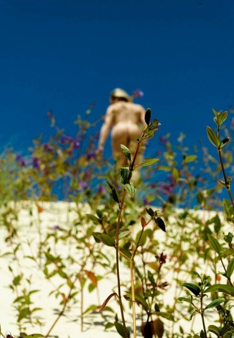 Aline Hirth estrella superior galería