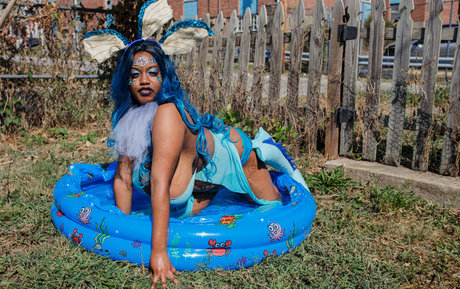 farrismaiden étoile adulte archive