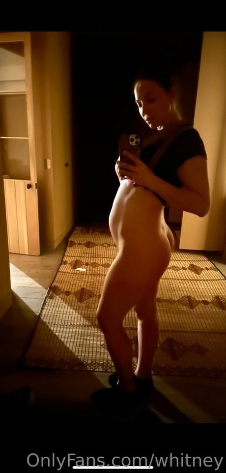 Whitney Cummings bonita modelo imagen