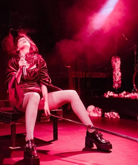 Lauren Mayberry art de star du porno archive