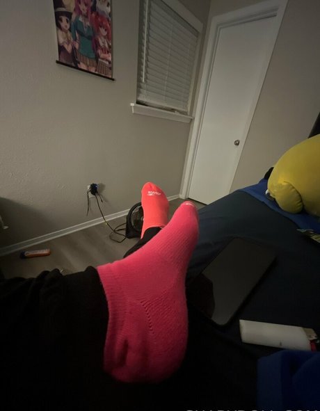 shadydoll haut modèle archive